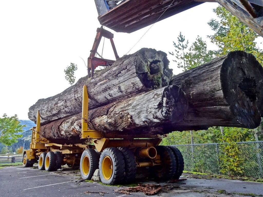 Logging equipment financing