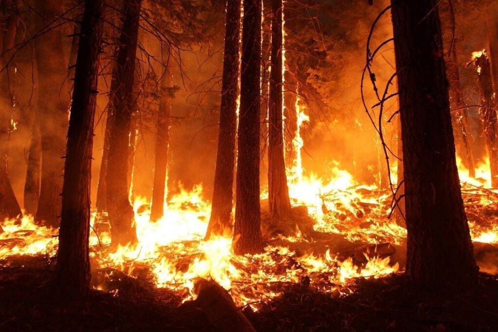 California Wildfires: Help Rebuild with Financing and More