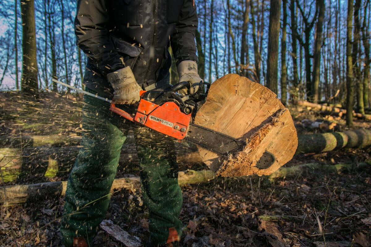 Financing for Tree Trimming Equipment