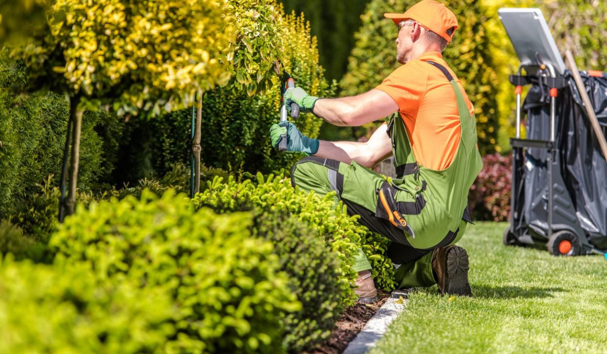 commercial and residential landscaping